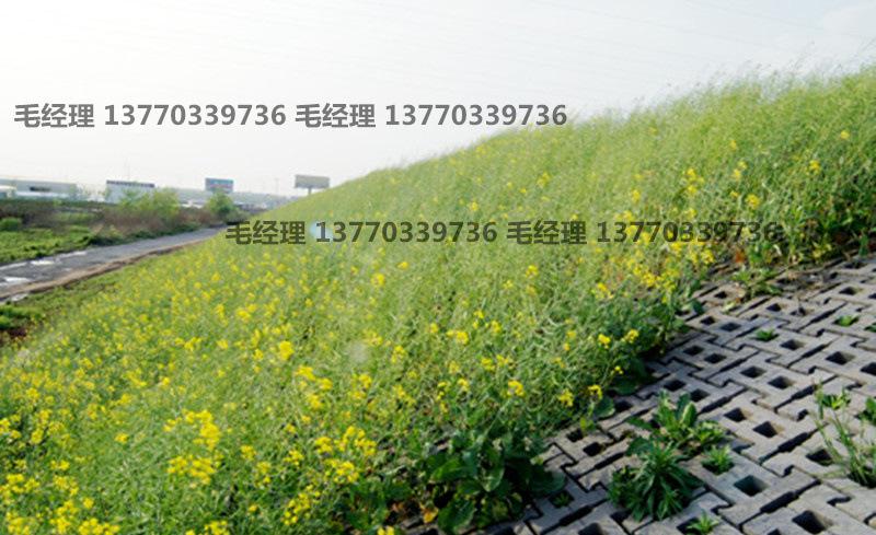 水工連鎖護(hù)坡磚 鉸鏈?zhǔn)竭B鎖護(hù)坡磚 河道景觀護(hù)坡磚 水工塊
