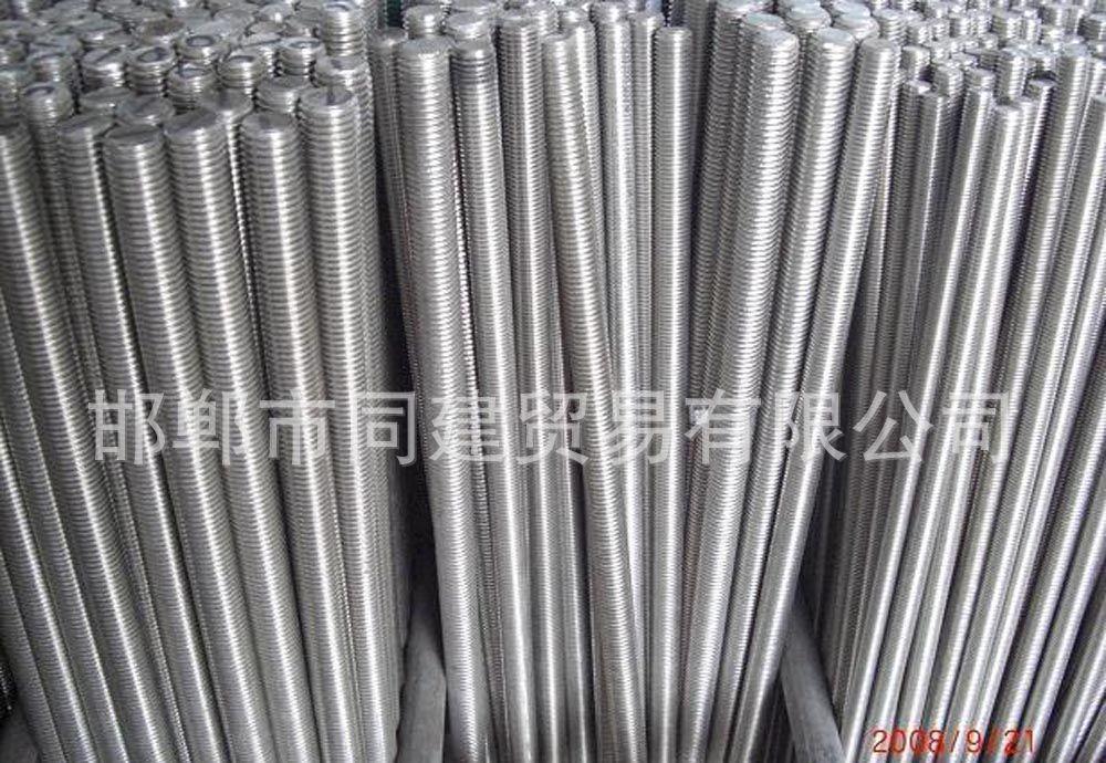 廠家直銷 國標(biāo)4.8級絲桿 全扣絲桿全牙螺桿鍍鋅藍(lán)白全牙絲桿