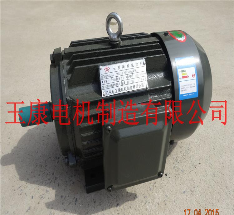 河北電機(jī)廠Y系列立式三相異步電機(jī)Y160M2-2級(jí)/15KW