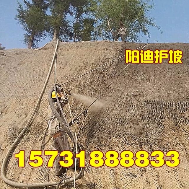 十堰客土噴播，武漢邊坡綠化，湖北山體錨噴，黃石掛網(wǎng)噴漿，荊州混凝土噴漿，陽迪公司