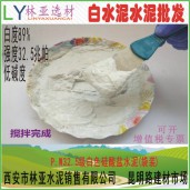 廠家直銷 阿爾博仙鹿牌外墻裝飾白水泥 甘肅阿爾博白水泥批發(fā)